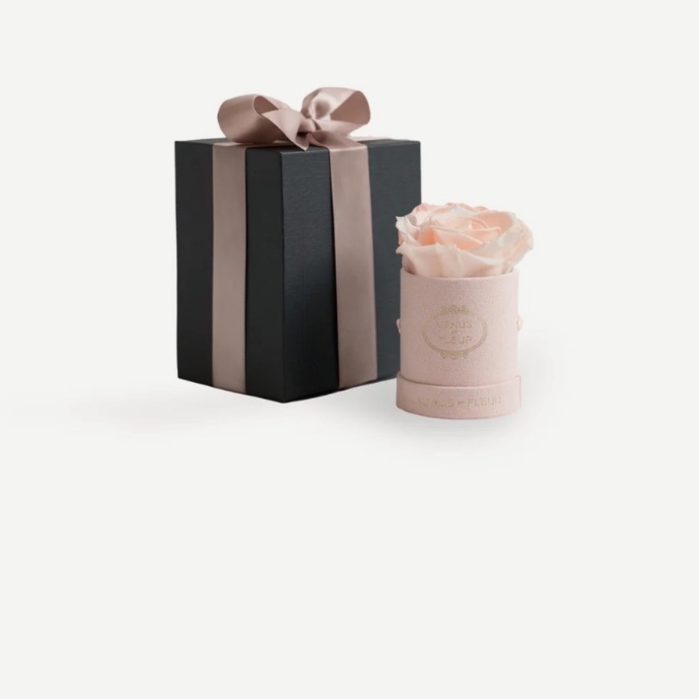 Venus Et Fleur Le Mini Round Blush Suede